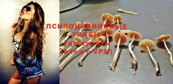 бошки Армянск