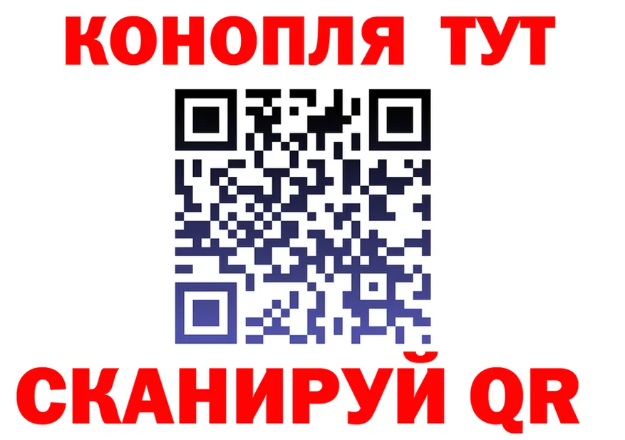 Бошки Шишки планчик зеркало площадка OMG Сельцо