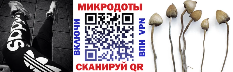 Галлюциногенные грибы MAGIC MUSHROOMS  как найти закладки  Сельцо 