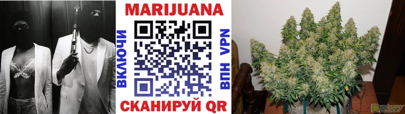 МАРИХУАНА семена  Сельцо 